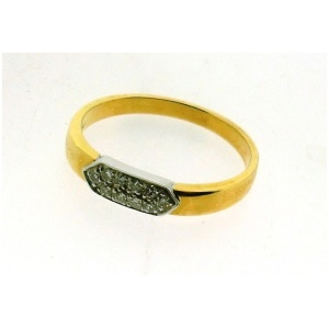Ring 750 GG 10 Brill.